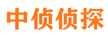 偃师捉小三公司